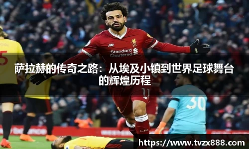 半岛体育官网入口
