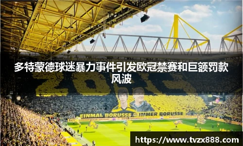 多特蒙德球迷暴力事件引发欧冠禁赛和巨额罚款风波